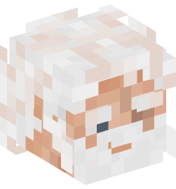 Minecraft head — People