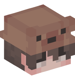 Minecraft head — People