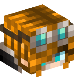 Minecraft head — People