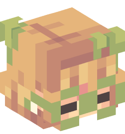 Minecraft head — People