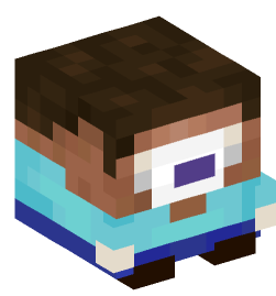 Minecraft head — Decor