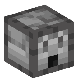 Minecraft head — Decor