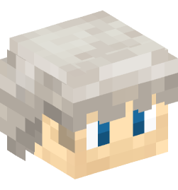 Minecraft head — People