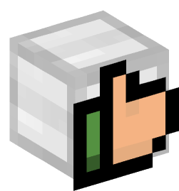 Minecraft head — Miscellaneous