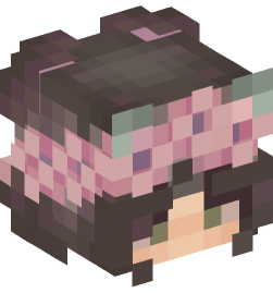 Minecraft head — People