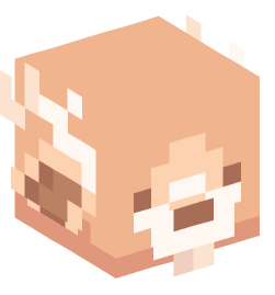 Minecraft head — Animals