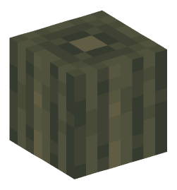 Minecraft head — Blocks