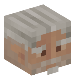 Minecraft head — People