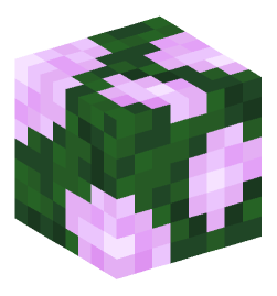 Minecraft head — Plants