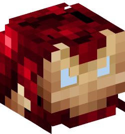 Minecraft head — People