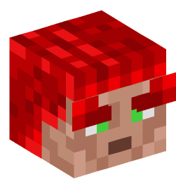 Minecraft head — People