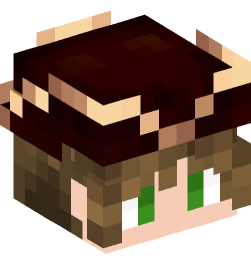 Minecraft head — People