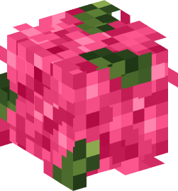 Minecraft head — Plants