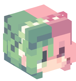 Minecraft head — People