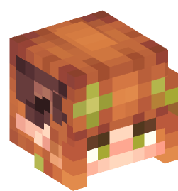 Minecraft head — Creatures