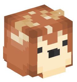 Minecraft head — Decor