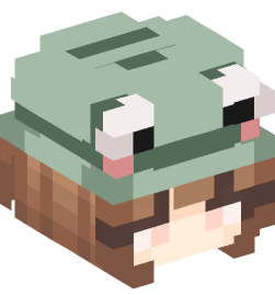 Minecraft head — People