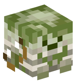 Minecraft head — Decor