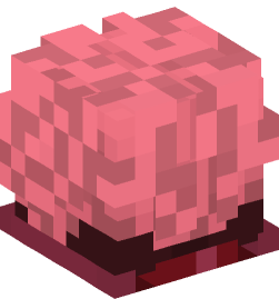 Minecraft head — Decor