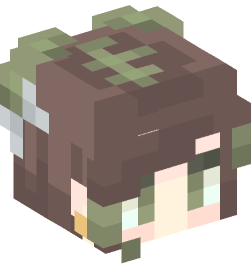 Minecraft head — People