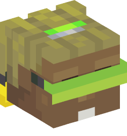 Minecraft head — People