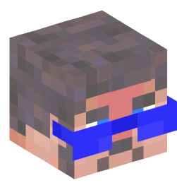 Minecraft head — People