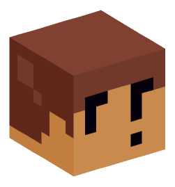 Minecraft head — Miscellaneous