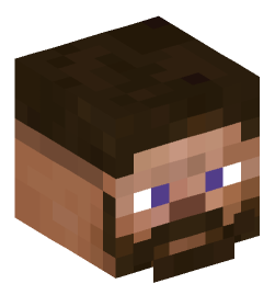 Minecraft head — People