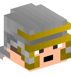 Minecraft head — People