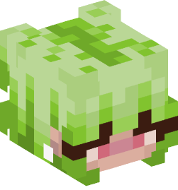 Minecraft head — People