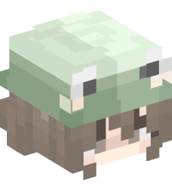 Minecraft head — People