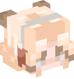 Minecraft head — People