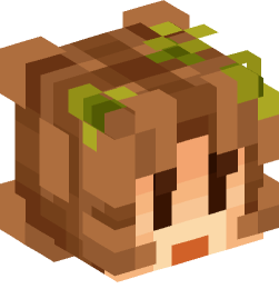 Minecraft head — People