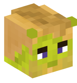 Minecraft head — People