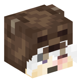 Minecraft head — People