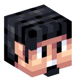 Minecraft head — People