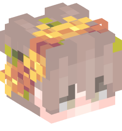 Minecraft head — People