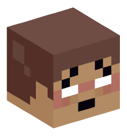 Minecraft head — Miscellaneous