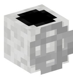 Minecraft head — Decor