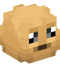 Minecraft head — Miscellaneous