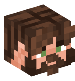 Minecraft head — People