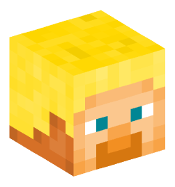 Minecraft head — People