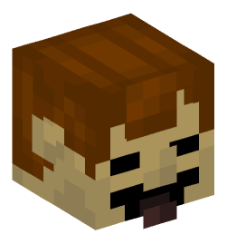 Minecraft head — People