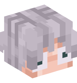 Minecraft head — People