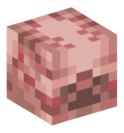 Minecraft head — Creatures