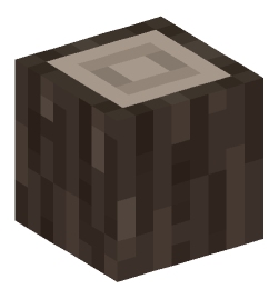 Minecraft head — Blocks