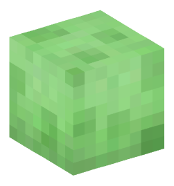 Minecraft head — Blocks