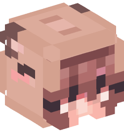 Minecraft head — People