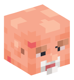 Minecraft head — People