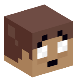 Minecraft head — Miscellaneous